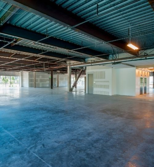 Gallery (3)